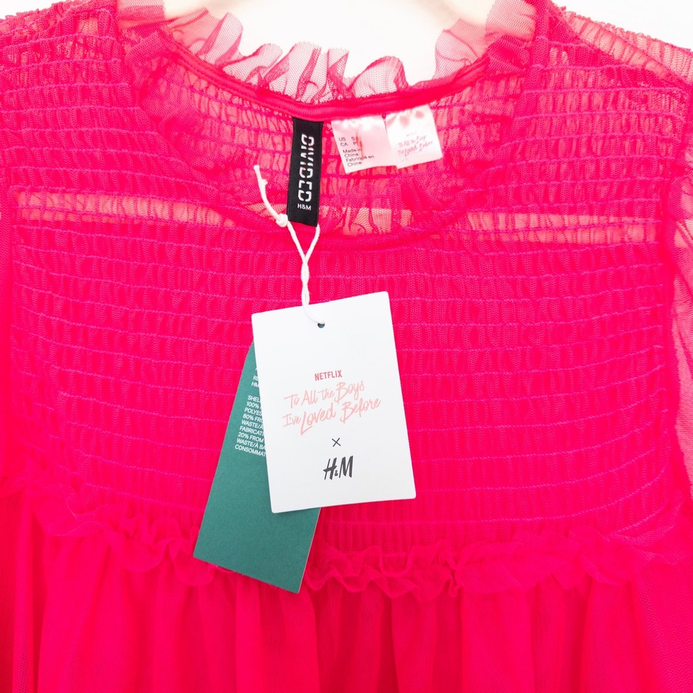 H&M Collab All The Boys Dress Sz S Hot Pink Sheer Mesh Ruffle Mini Y2K Coquette - Picture 7 of 9
